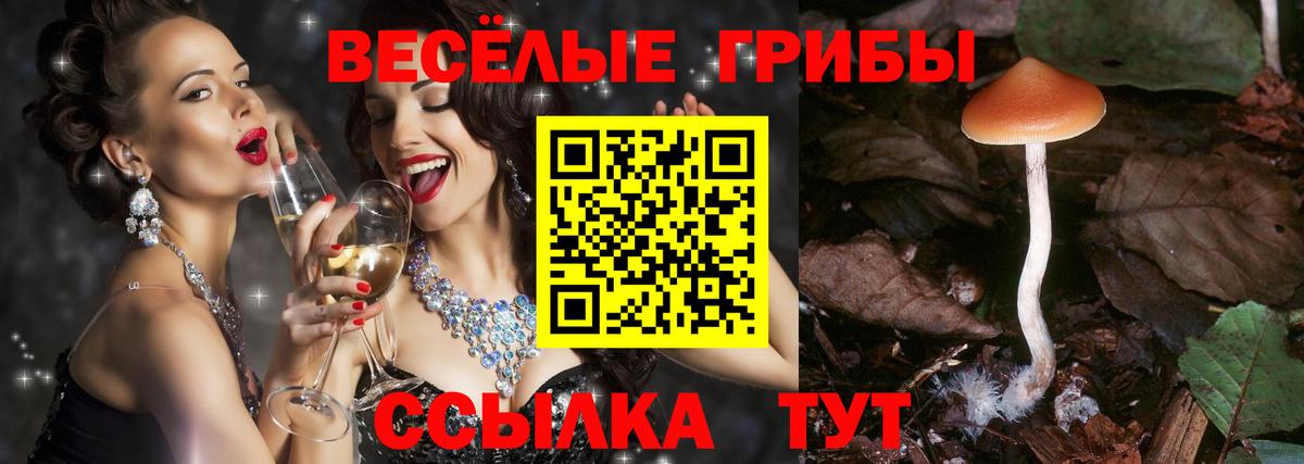 Псилоцибиновые грибы мицелий  Вход с VPN  Коркино 